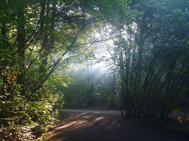 File:Birch Bay State Park (2013-09-10).jpg