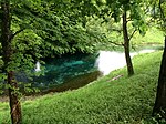 Blauer Quelle, Blauer Gumpen and the surrounding group of trees - Quellenensee