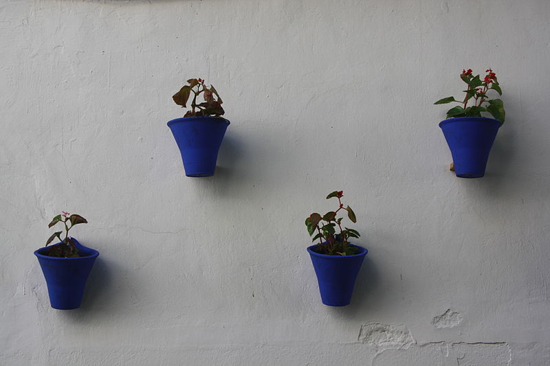 File:Blue Flower Pots (6113311336).jpg