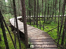 Boardwalk in the park.jpg