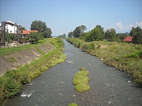 Baltasis Krišas Brade