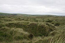 Braunton Burrows, August 2009 Braunton Burrows.JPG