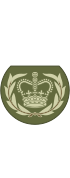 British Army OR-8b.svg