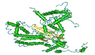 <span class="mw-page-title-main">FAM200A</span> Protein-coding gene in the species Homo sapiens