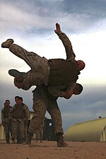 Miniatuur voor Bestand:CLB-6 Marine Corps Martial Arts Program (MCMAP) 130505-M-ZB219-026.jpg