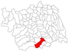 Căiuți - Carte