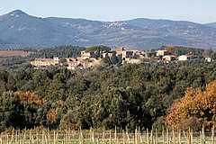 Camigliano (Montalcino)