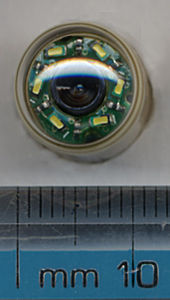 Endoscopic capsule end-on, showing six LEDs and camera lens. CapsuleEndoscopeEnd.jpg