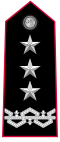 Carabinieri-OF-8.svg