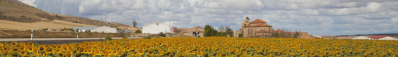 Cardejón banner