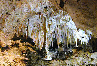 Carlsbad Caverns National Park National Park in New Mexico, United States