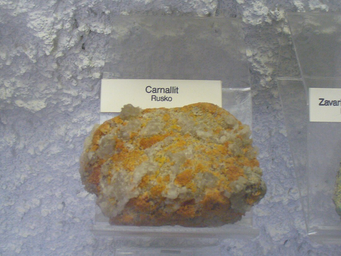 File:Carnalit.jpg