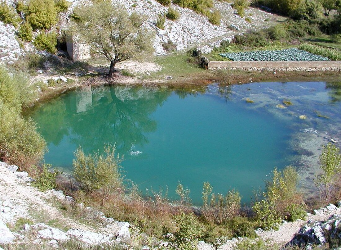 Cetina