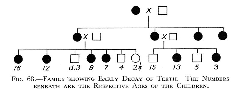 File:Charts, family showing early decay of teeth. Wellcome M0002800.jpg