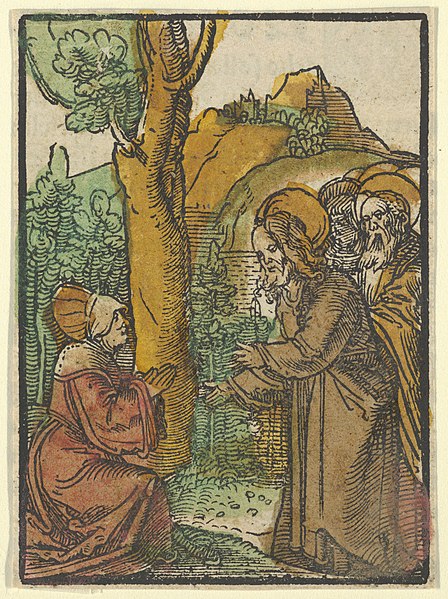 File:Christ and the Woman of Canaan, from Das Plenarium MET DP849929.jpg