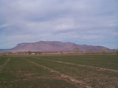 Colonia-dublan-pajarito