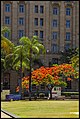 Colour in Queens Park Brisbane-5 (15610856239).jpg