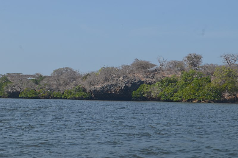 File:Coral Reefs.jpg