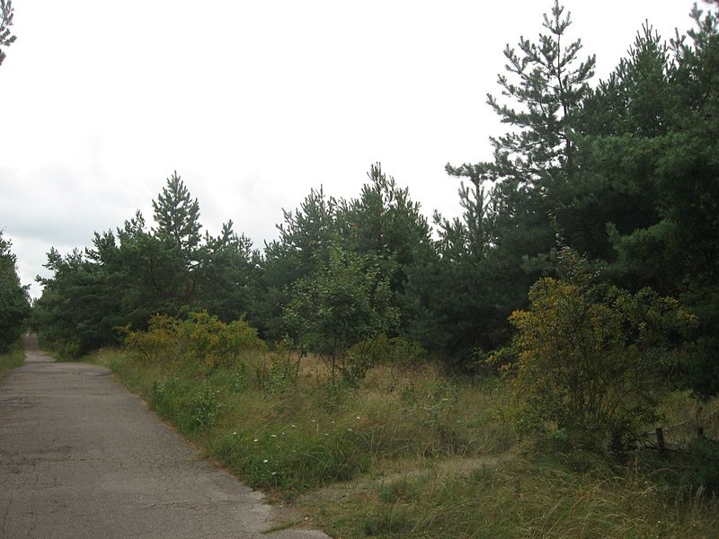 File:Curonian Spit (41).jpg