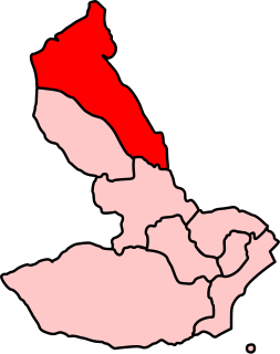 <span class="mw-page-title-main">Cynon Valley (Senedd constituency)</span> Constituency of the Senedd