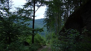 Děčín, Čertova Voda - panoramio (3).jpg