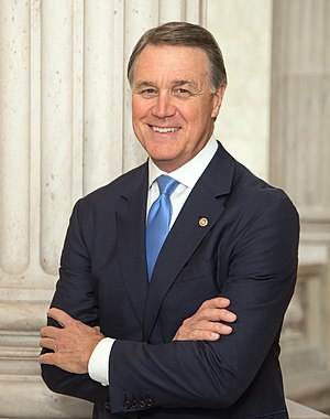 David Perdue: Politeger a'n Statys Unys