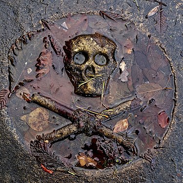 Gravestone from Alwinton, Northumberland.