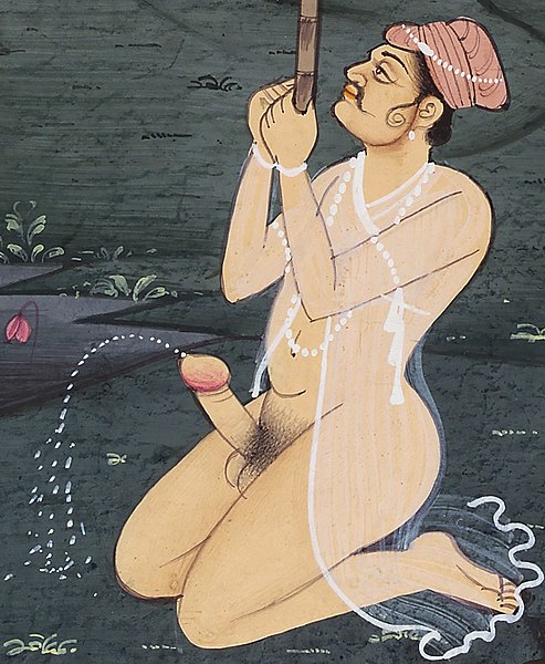 File:Detail from A man ejaculating, while holding a net for birds. Gouache Wellcome L0033081 (cropped).jpg