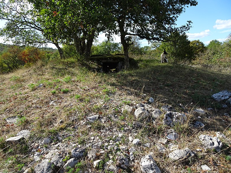 File:Dolmen Ganil 2@nat.jpg