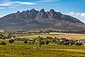 * Nomination View of the mountains on the Olifant River from the “Val du Charron” vineyard, Drakenstein, Western Cape, South Africa --XRay 04:03, 12 May 2024 (UTC) * Promotion  Support Good quality. --Ermell 04:45, 12 May 2024 (UTC)