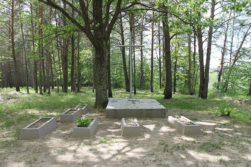 File:Druskininkų I karių kapinės 2016 (1).JPG