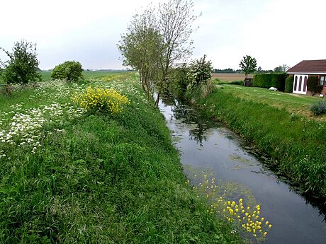 Toynton Fen Side