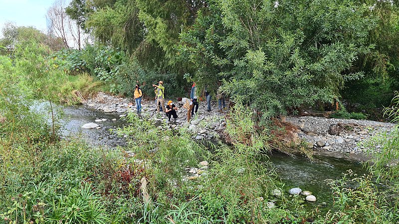 File:Ecosistema río Santa Catarina.jpg