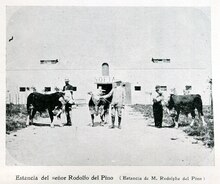 Estancia of Mr. Rodolfo del Pino (1910) El Uruguay a traves de un siglo page 489 recorte 01.tif