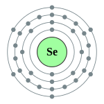 Electron shell 034 Selenium - no label.svg