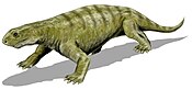 Ennatosaurus Ennatosaurus BW.jpg