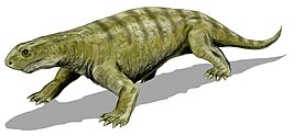 Ennatosaurus