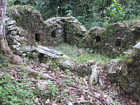 Espiritu Pampa Archaeological site - overgrown house.jpg