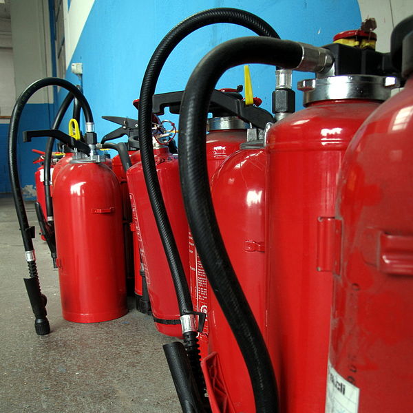 File:Extinguishers with cubs IMG 4849.JPG