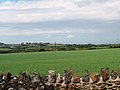 Farmland alongside the railway line at Ty Croes - geograph.org.uk - 1968883.jpg