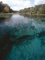 Thumbnail for List of major springs in Florida