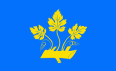 Flag of Stavanger.gif