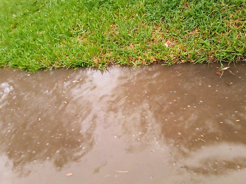 File:Flash Flood Northern Mexico.jpg