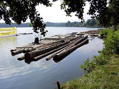 Große Holzstücke schwimmen ...