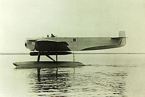 Fokker T.III.jpg