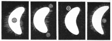 Desenhos de Fontana mostrando as ilusões que ele viu ao redor de Vênus.