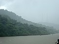 Forest In Panama Canal - panoramio.jpg