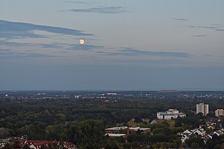 Frankfurt Bergen Enkheim Enkheimer Wald