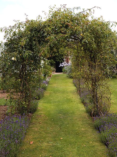 File:Garden lavender path with rose trellis at Goodnestone Park Kent England.jpg