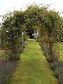 Garden lavender path with rose trellis at Goodnestone Park Kent England.jpg